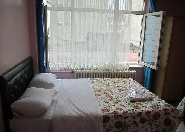 Efe מלון טראבזון